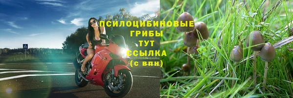 мяу мяу кристалл Бугульма